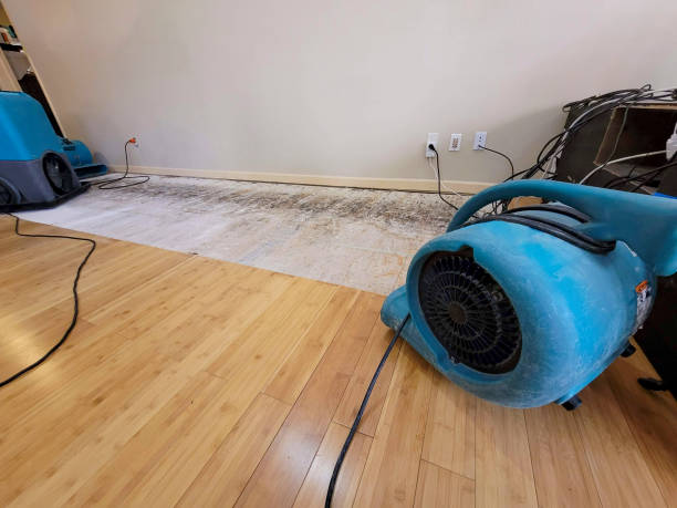 Professional Flood Damage Cleanup technician working in Orgas, WV